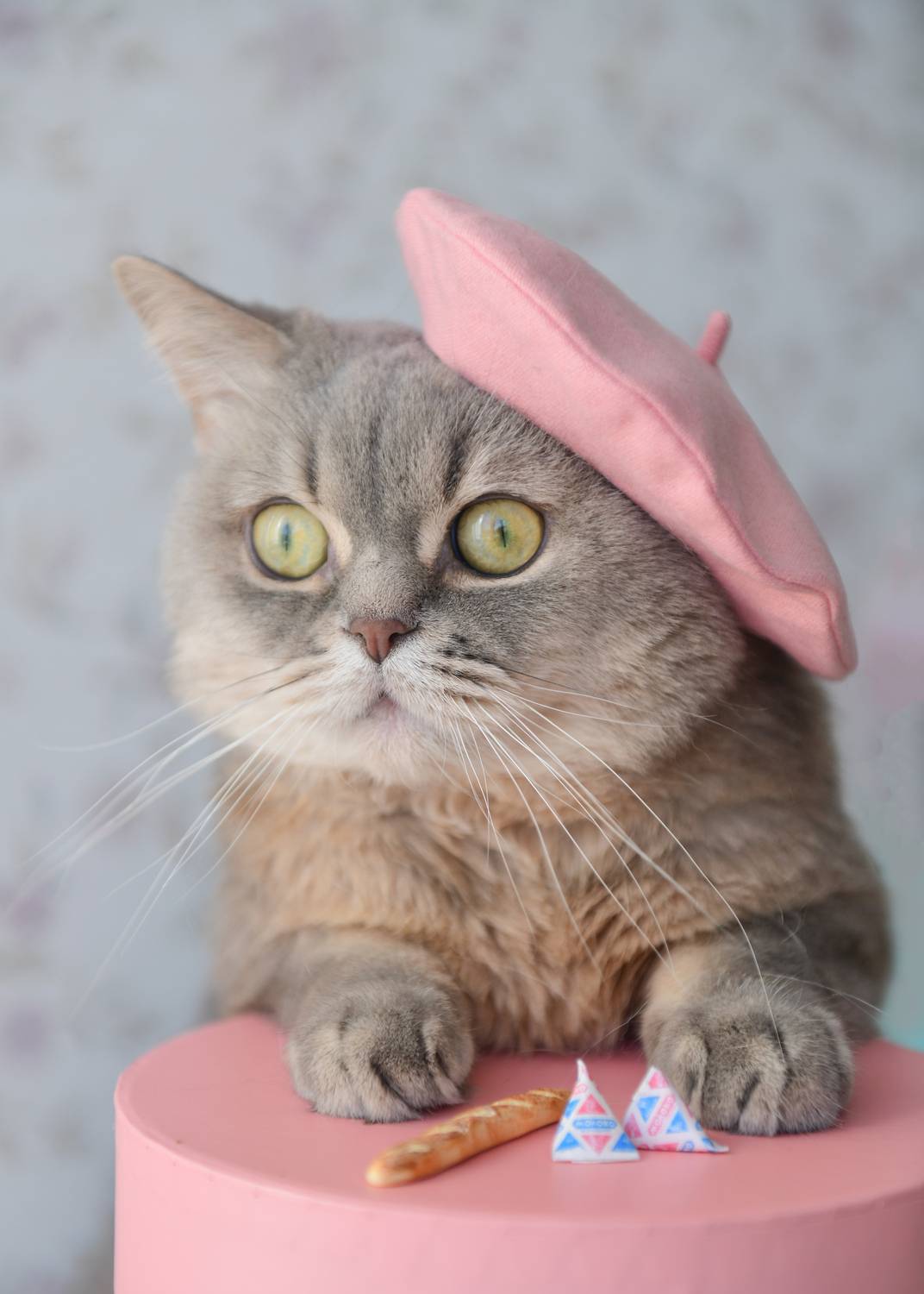 , Божена Пучко