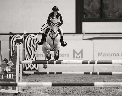 Летящие к успеху