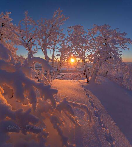 Снежная зима