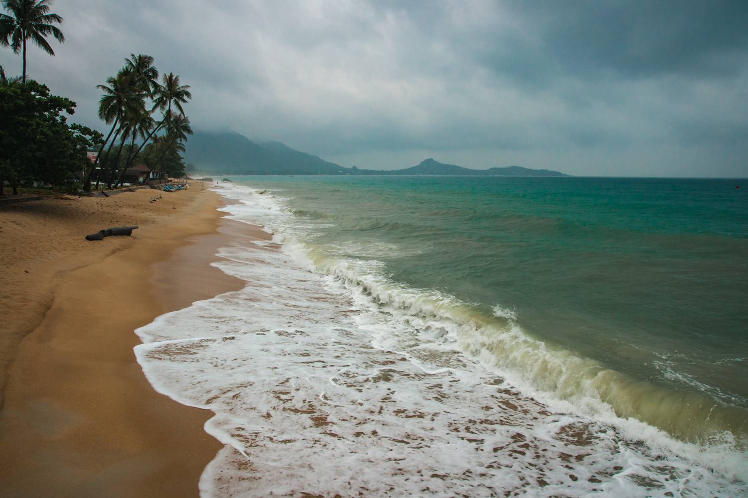 , Максимова Дария