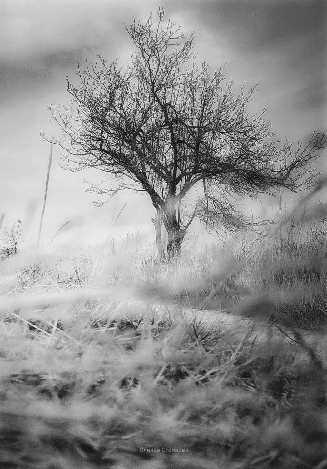 , Юлияна Стоянова