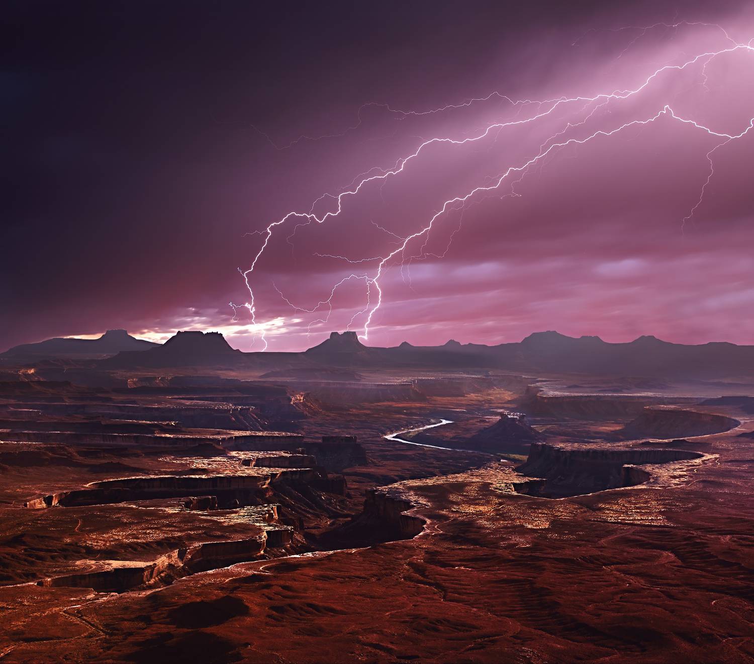 сша, Сулоев Алексей