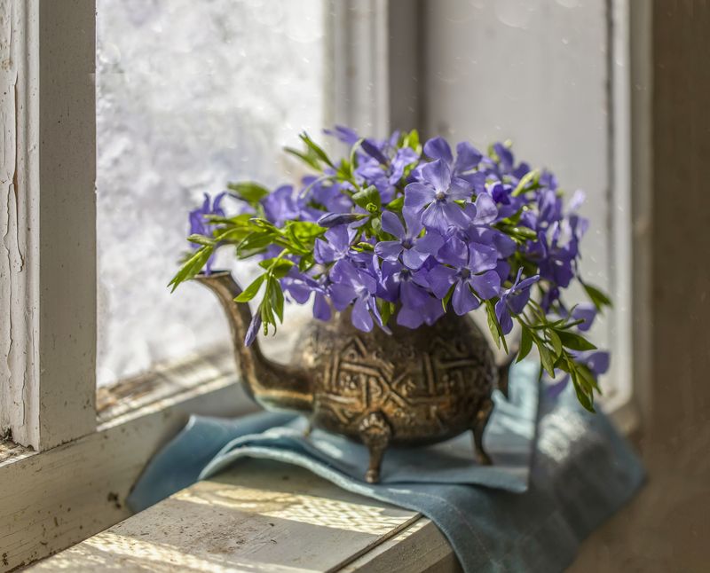 натюрморт, окно А завтра весна... фото превью