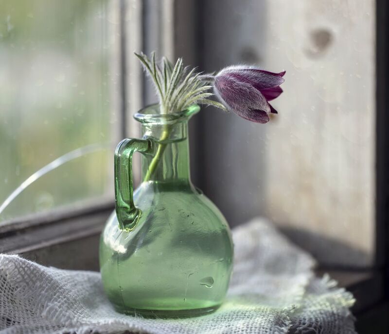 окно, сон-трава А завтра весна... фото превью