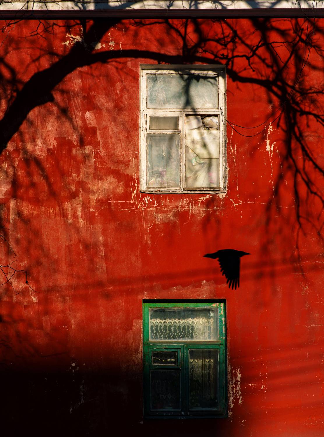 , Вертиков Юрий