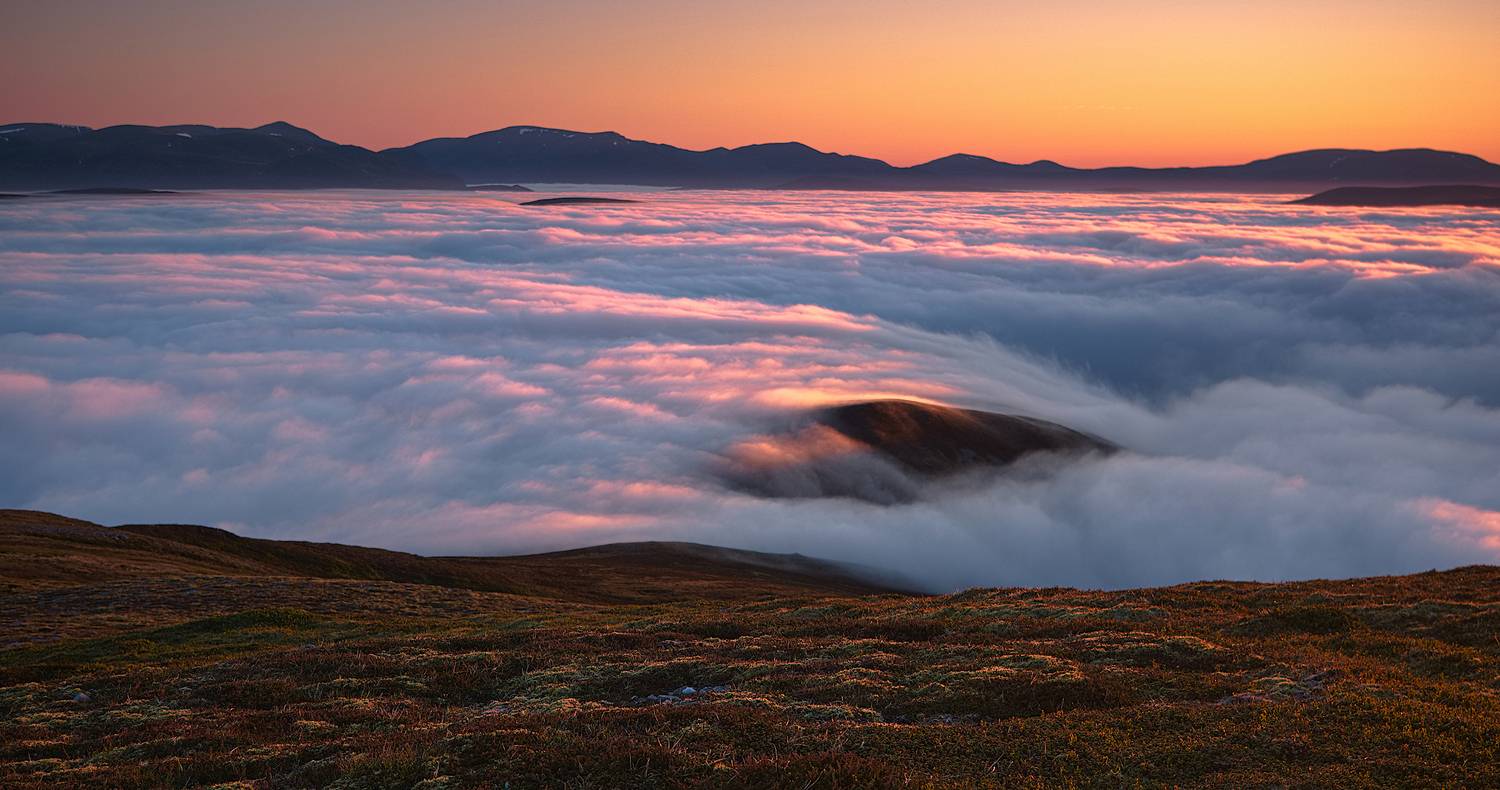 , Wojciech Tarnowski