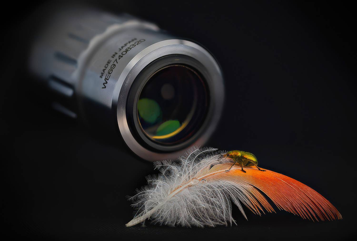 coleoptera, attelabidae, byctiscus betulae, liepinis cigarsukis,трубковерт грушевый, Eugenijus Kavaliauskas