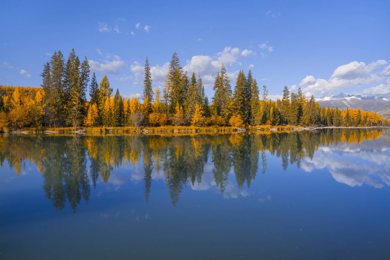 россия, горный алтай, река, осень, утро, отражение, Поляков Андрей