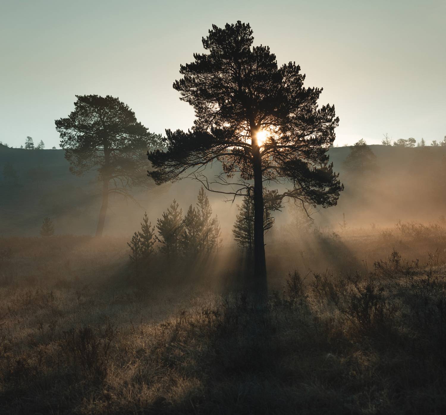 , Сергей Варыгин