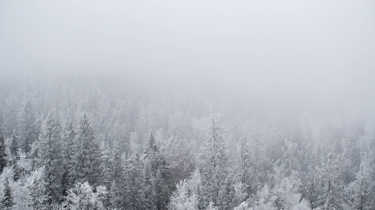 , Бодрягин Виталий