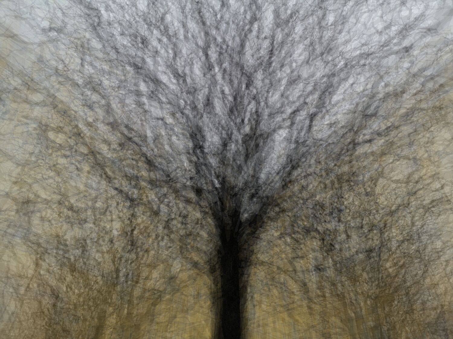 , Антон Лаба