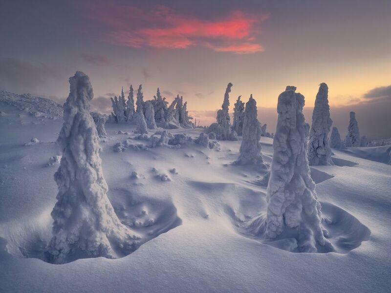 Снежные стражи ГУХ фото превью