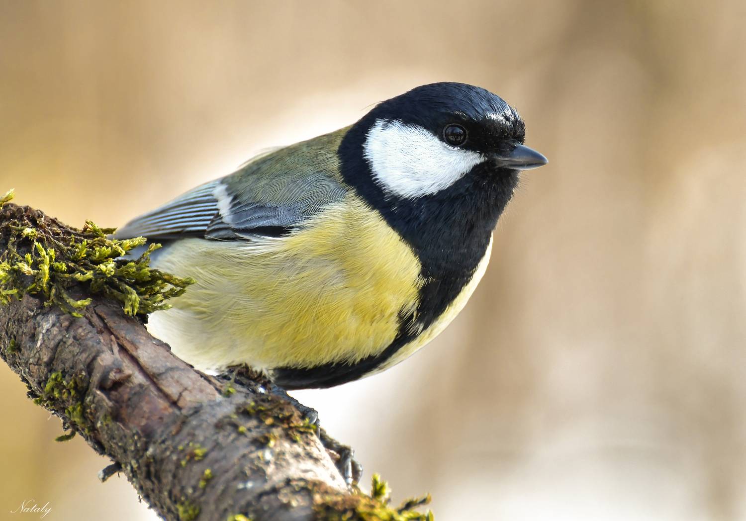 , Наталья Екимова