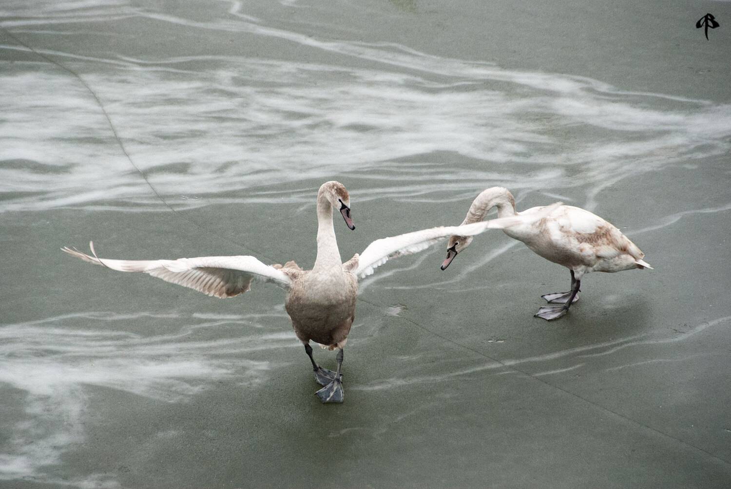 , Алексей Бахтиозин