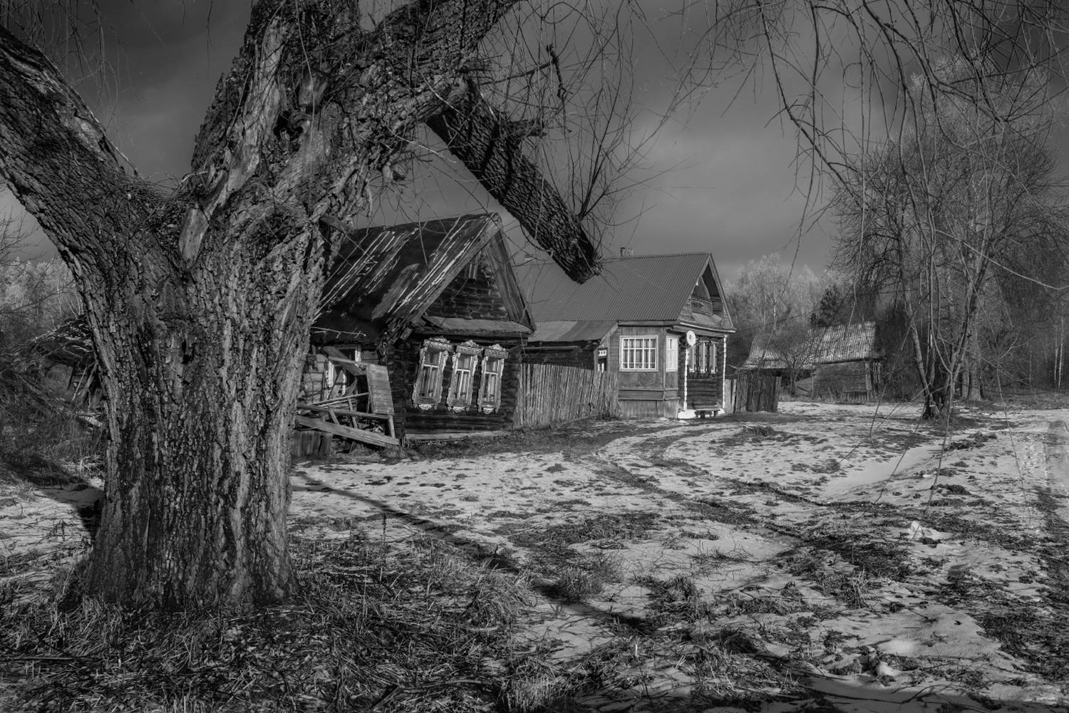 деревня деревья оттепель февраль беляиха, Алексеев Дмитрий