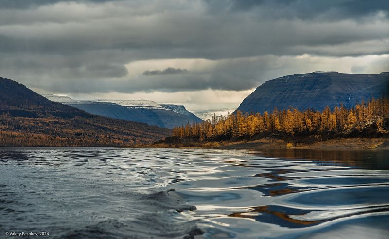 озеро дюпкун, плато путорана, осень, курейка, предзимье, лиственницы, таймыр, заполярье, владимир коваль Дюпкун, дорога домой (2) фото превью