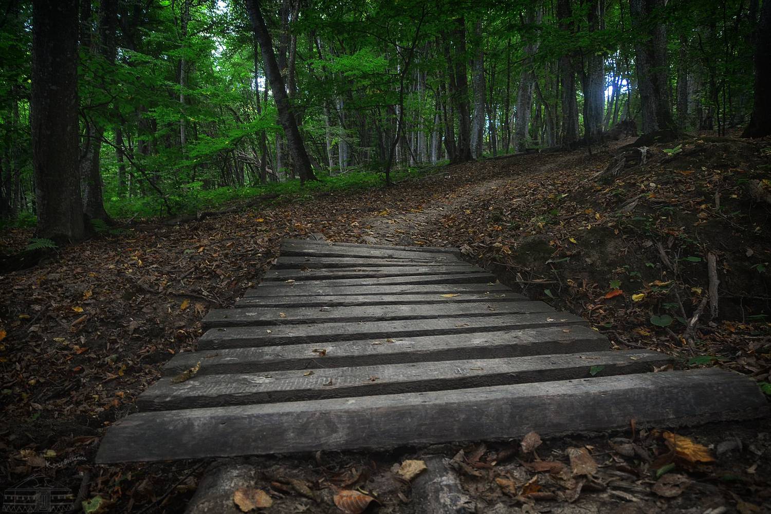 , Юлия Абрамова