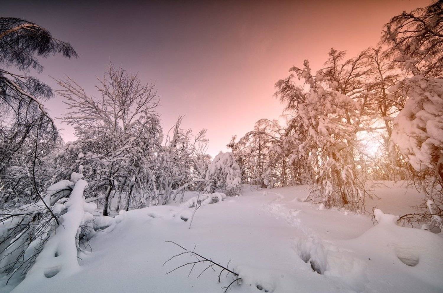 Башкирия, Белорецкий район, Деревья, Снег, Солнце, Утро, Алексей Верзун