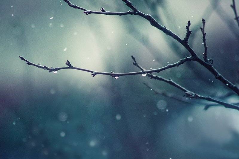 , Парбукова Анна