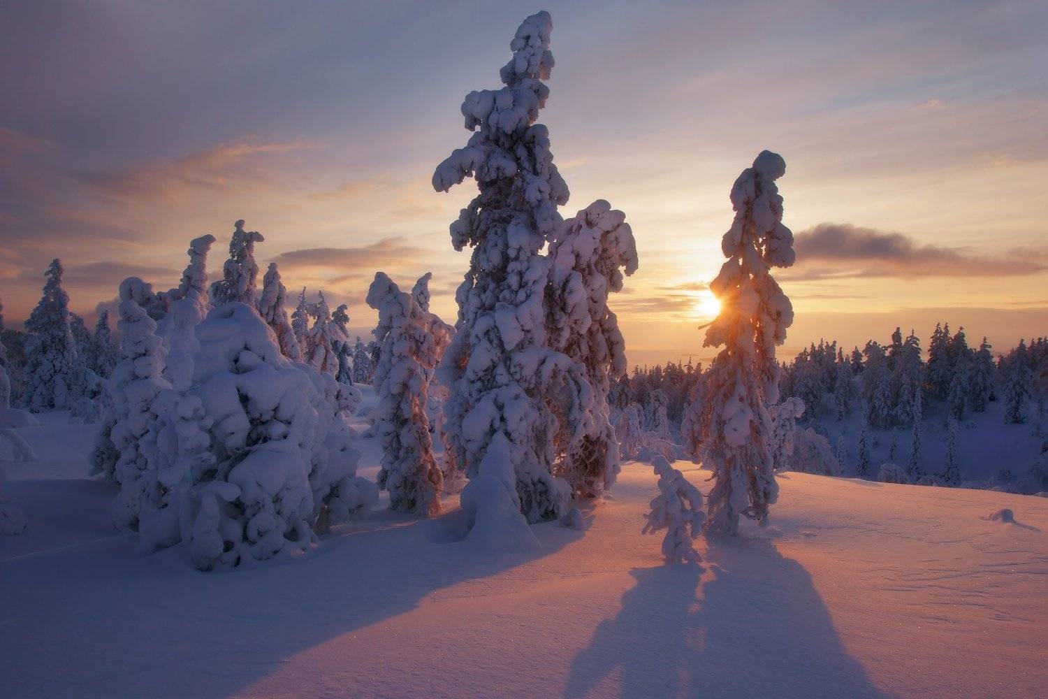 Заполярье, Кандалакша, Кольский полуостров, Евгений Ляпунов