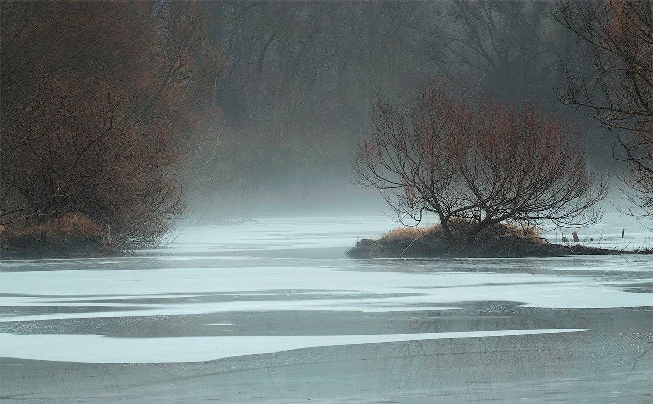 Весна, Пруд, Туман, flyman