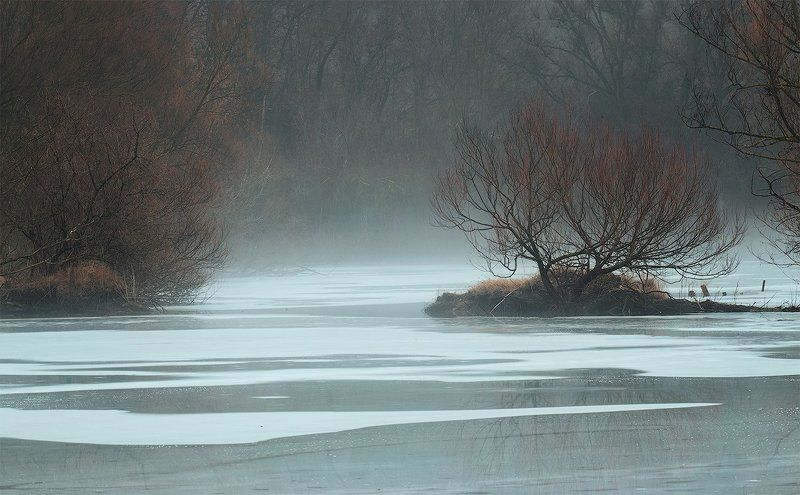 Весна, Пруд, Туман Весна у ворот фото превью