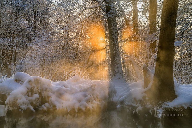 beauty, branches, fairy tale, ice, landscape, morning, rays, river, russia, snow, sun, trees, water, winter, ветки, вода, деревья, зима, красота, лед, лучи, пейзаж, речка, россия, сказка, снег, солнце, утро Игра в прятки фото превью