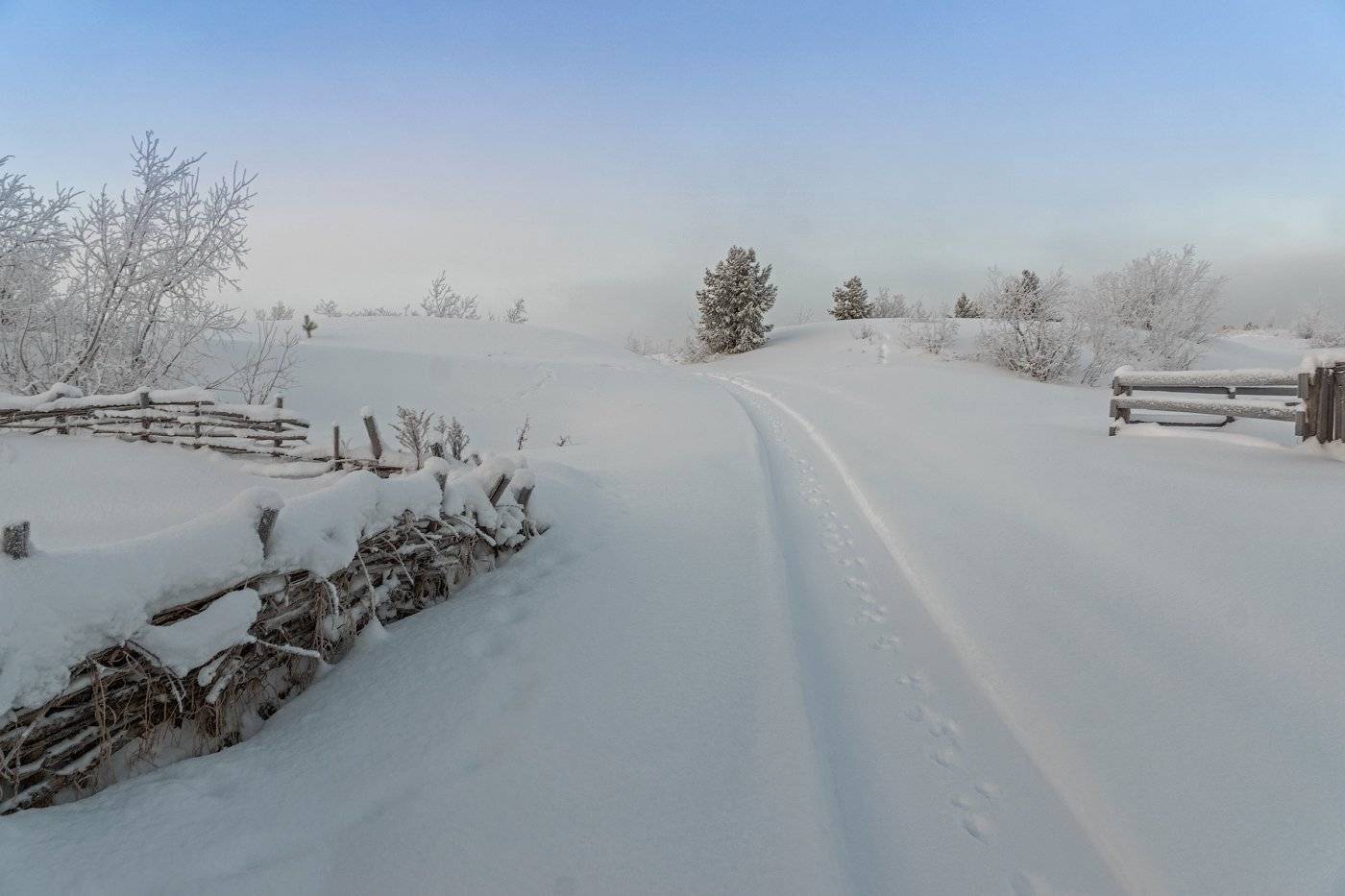 Komi, Winter, Зима, Коми, Печора, Игорь Подобаев