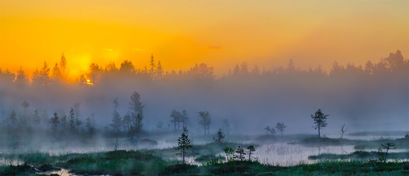 Болото, Восход, Карелия, Лето, Панорама, Пейзаж, Природа, Рассвет, Север, Туман, Утро Туманное утро фото превью