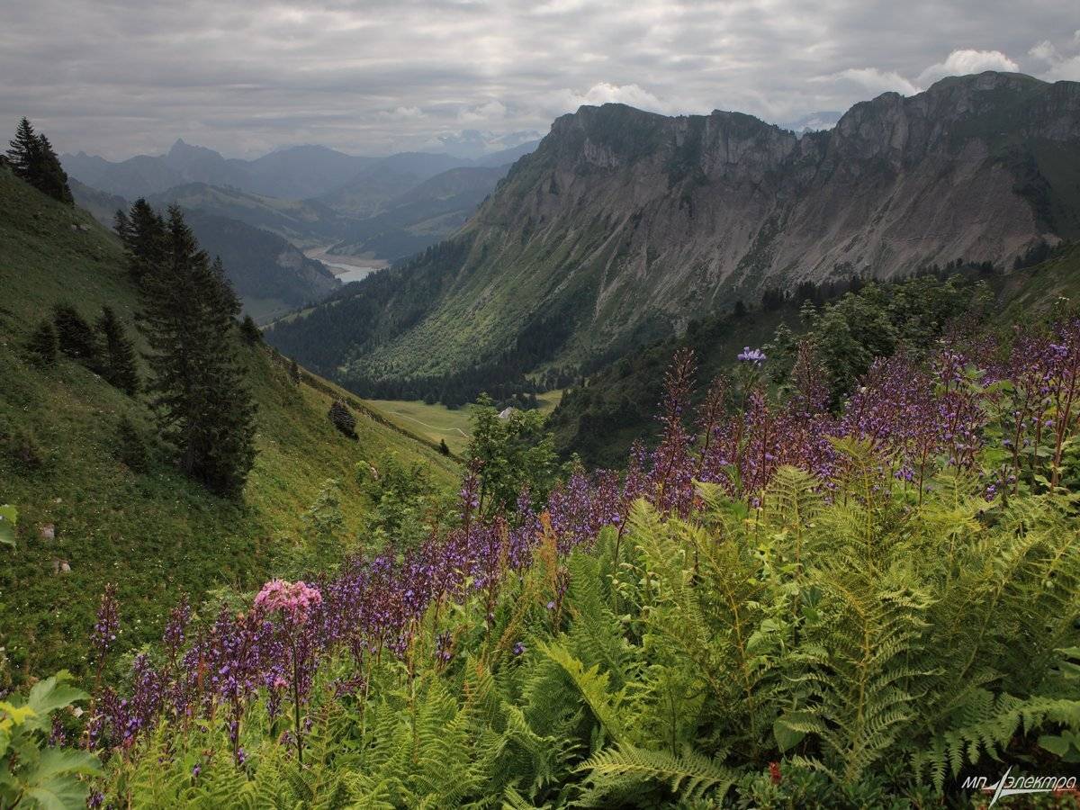 , Матвеев Николай