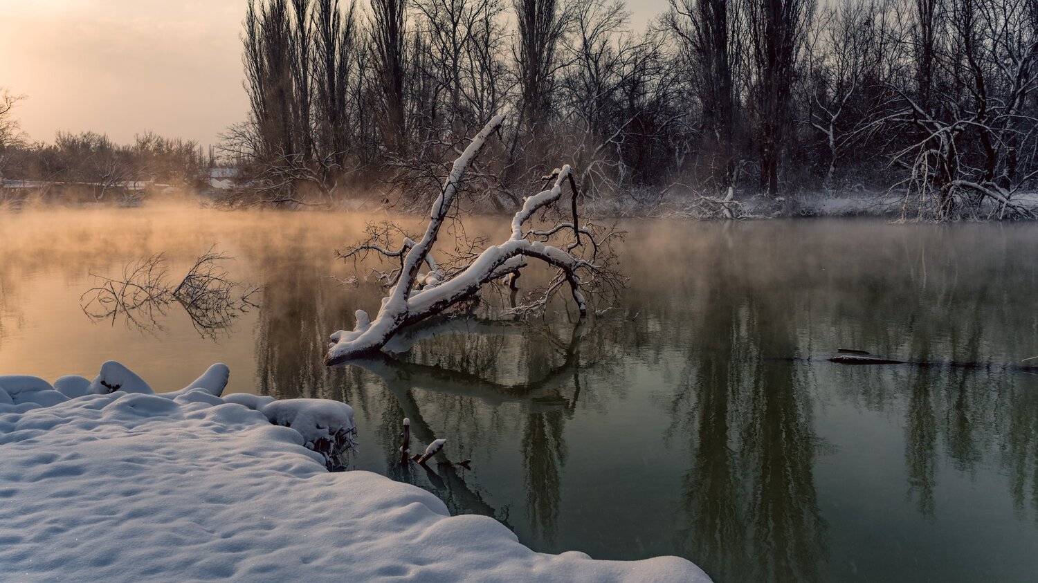 , Alexander Plekhanov