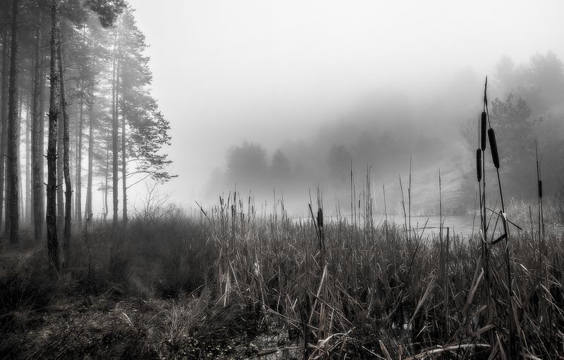 В тумане фото превью