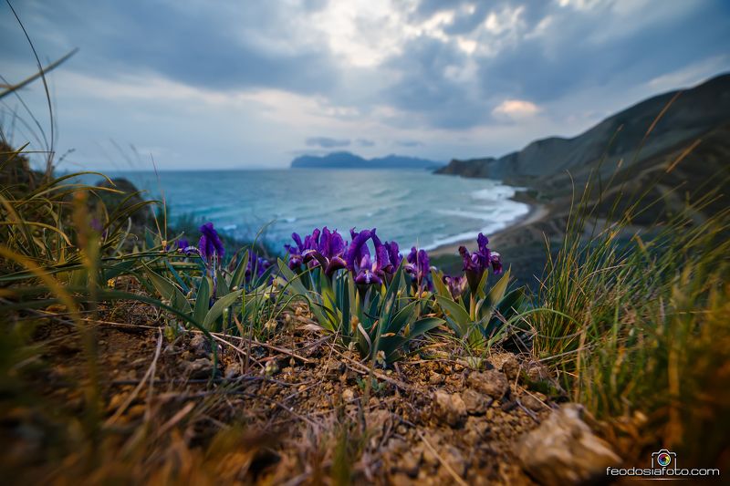 Крым Пробуждение фото превью