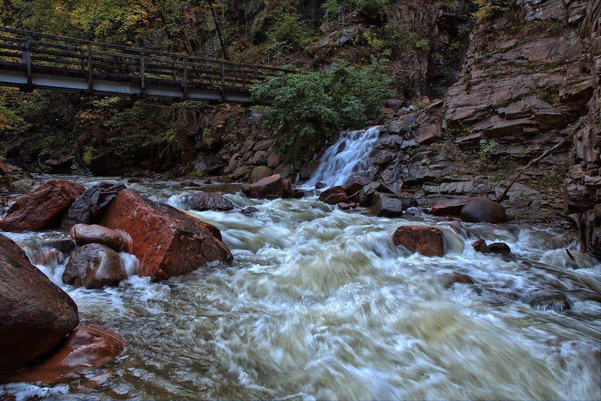 , Игорь Дубровский