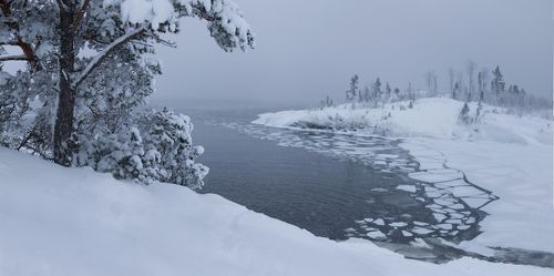 Silence of the snowfall