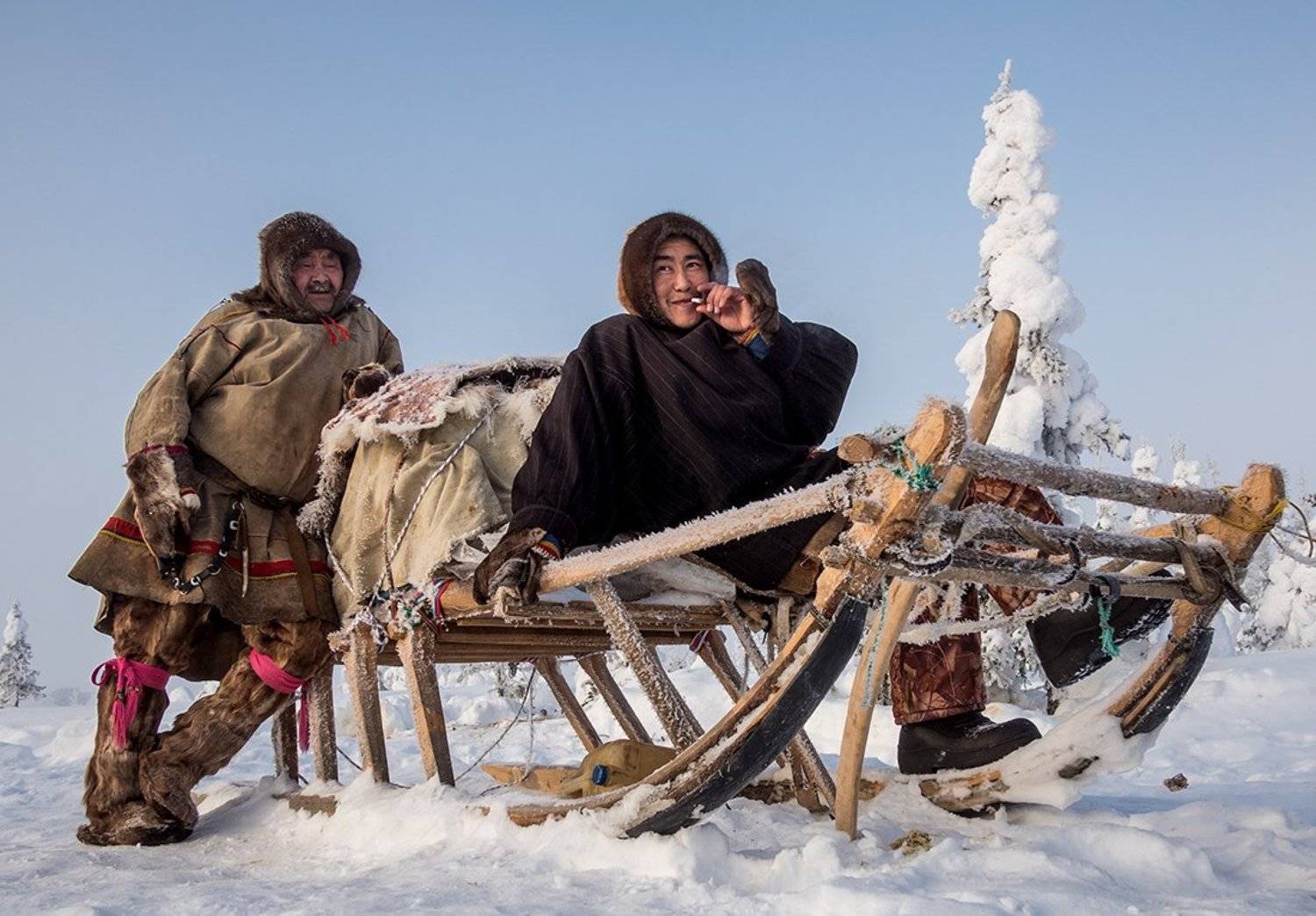 ненцы, оленеводы, ямал, янао, север, Андрей Снегирёв
