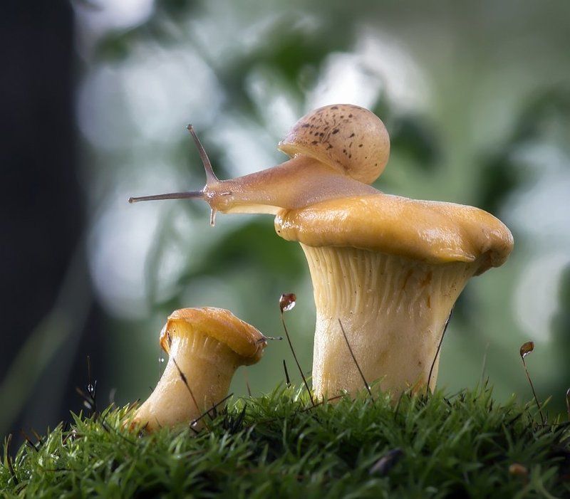 Пока никто не видит ... фото превью