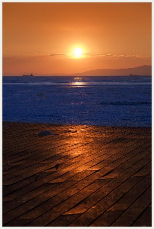 Море зимних цветов фото превью