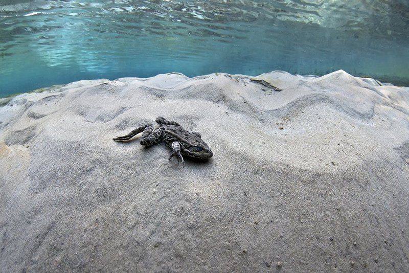 Пляж фото превью