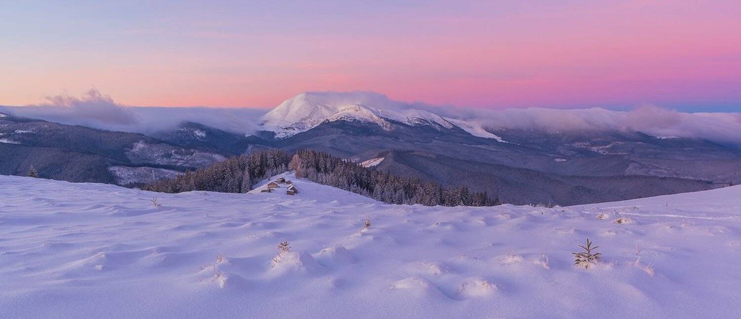 , Александр Подрез