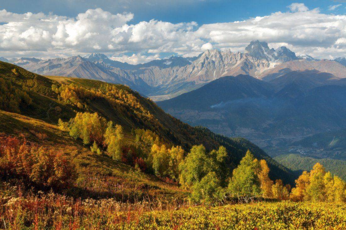 , Ярослав Тюрменко (Jaremi)