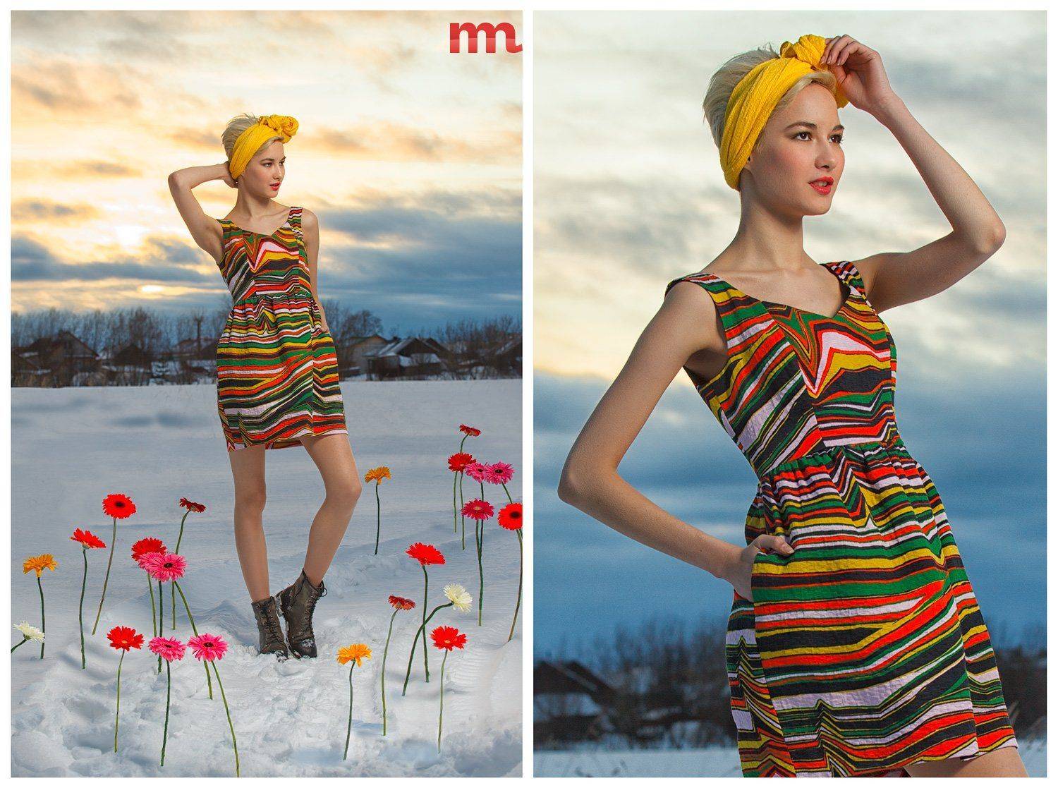 , Макс Немудрый