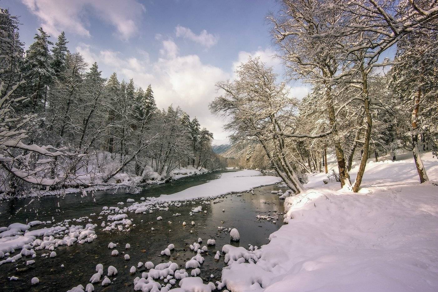 , Борис Пирог