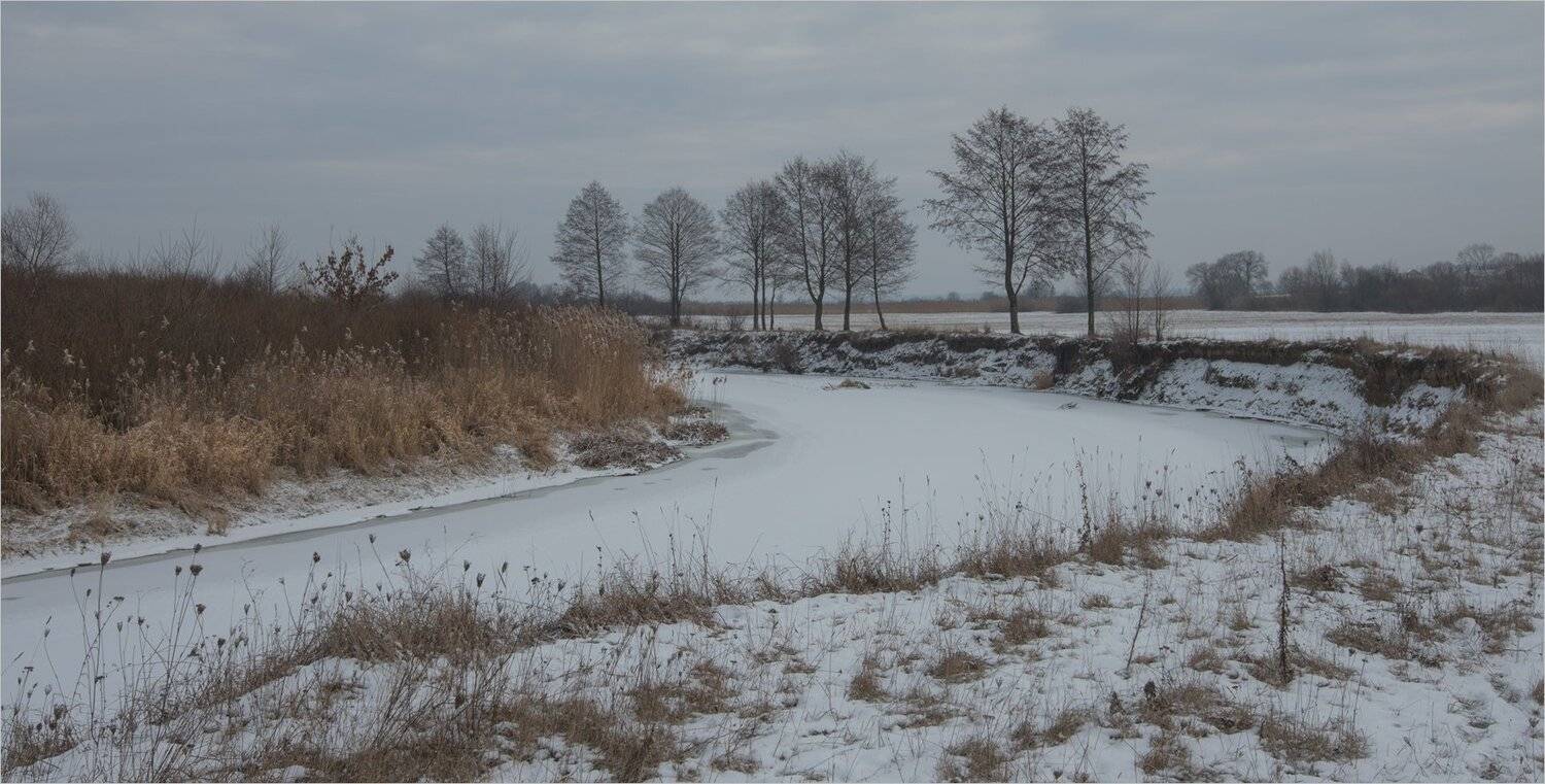 , Николай Шахманцир