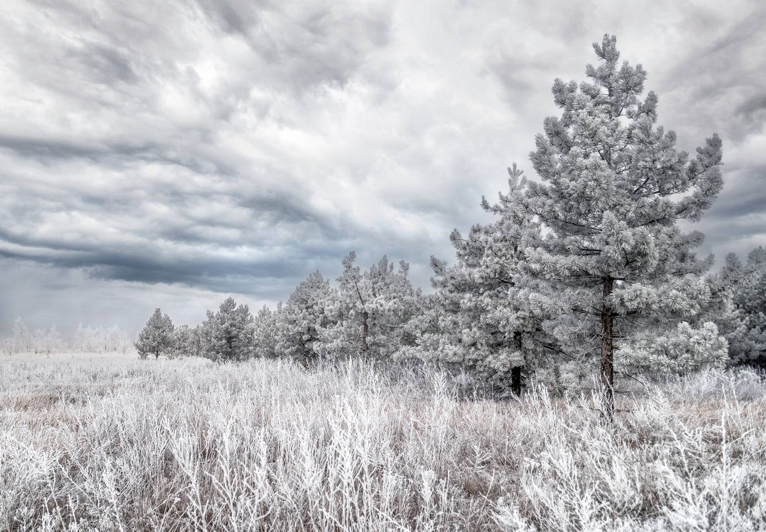 , Диденко Юрий