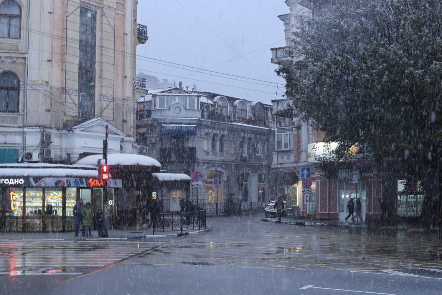 ялта, февраль, Ирина Гайворонская