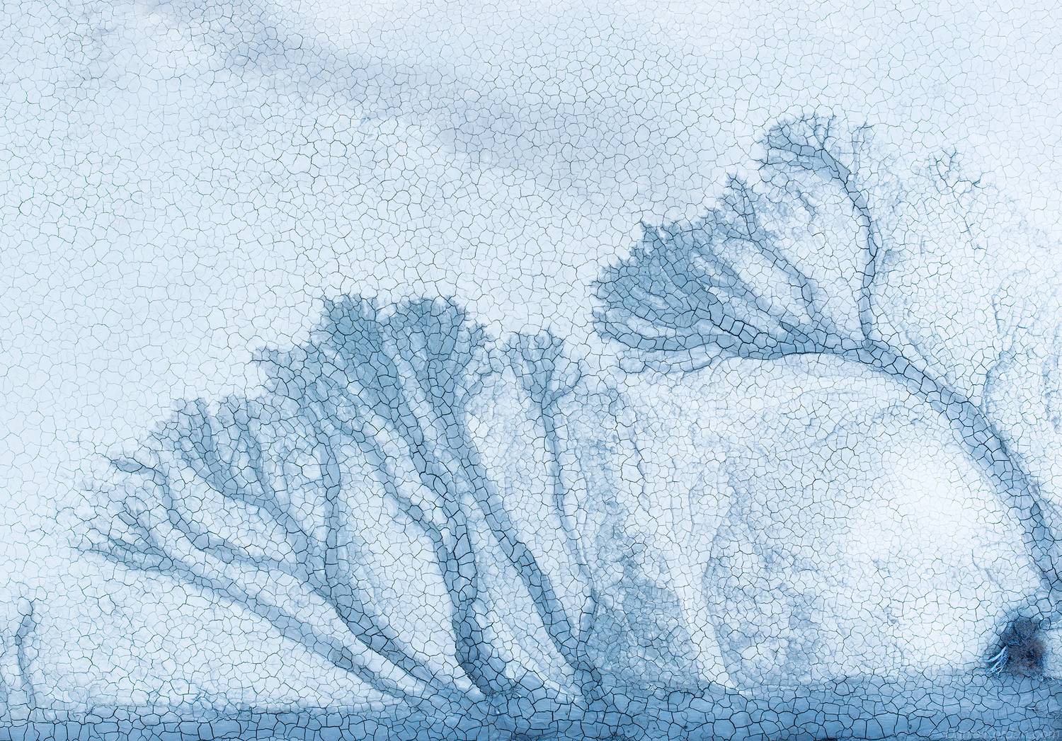 Kazakhstan, Даниил Коржонов