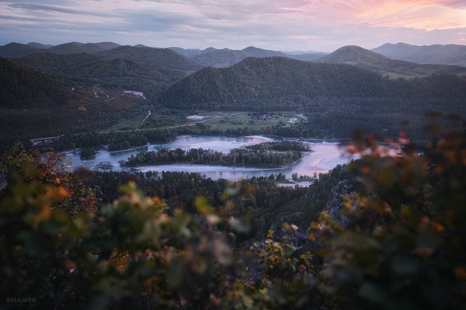 , Константин Шамин