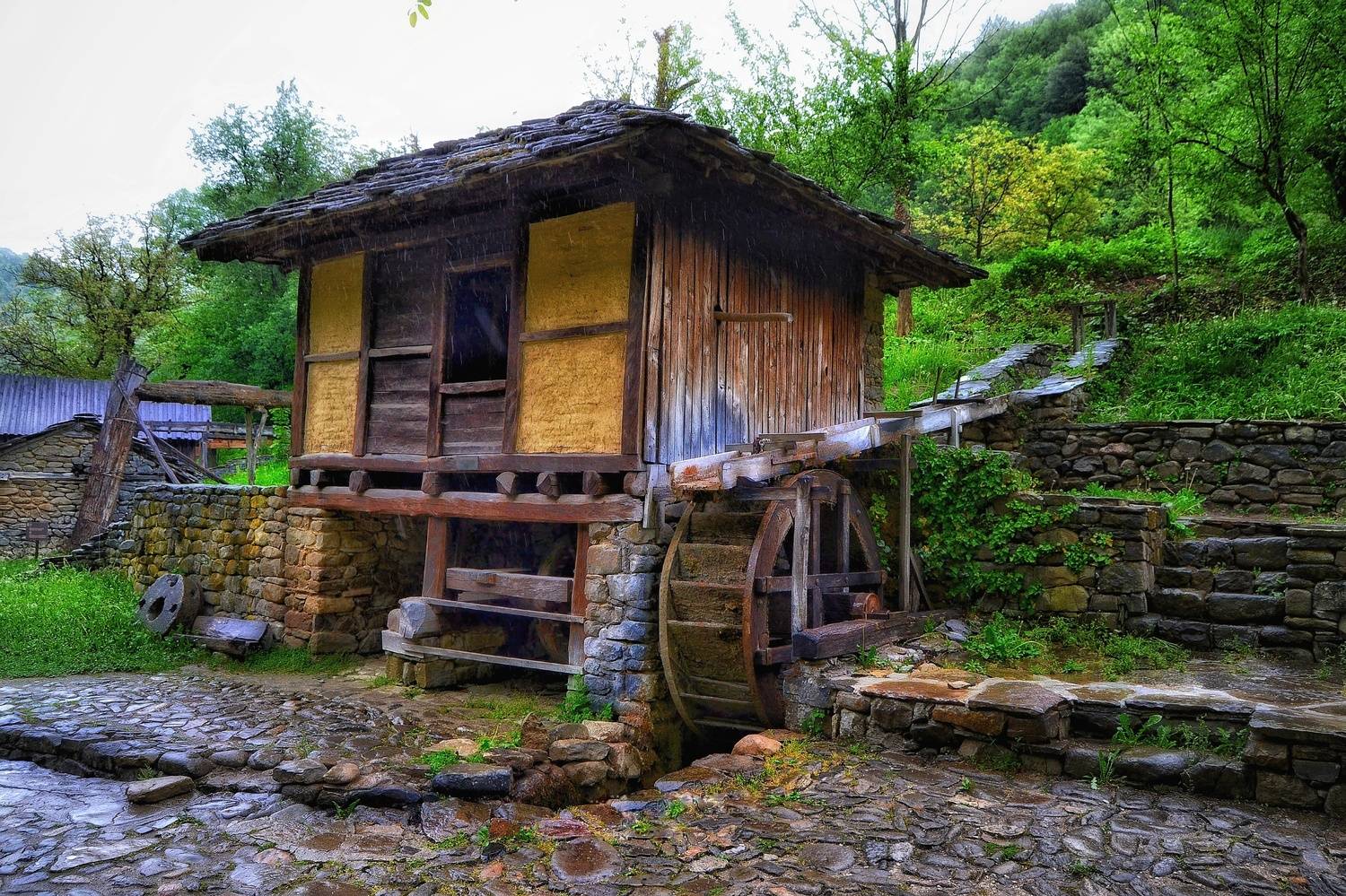 , Юлияна Стоянова