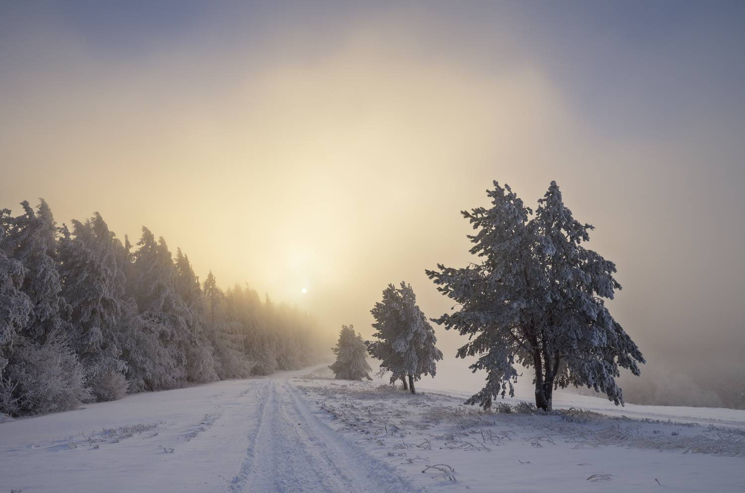 ,  Mirosław Pruchnicki